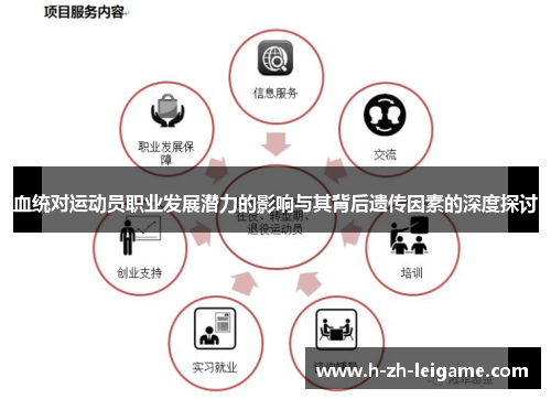 血统对运动员职业发展潜力的影响与其背后遗传因素的深度探讨