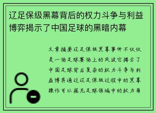 辽足保级黑幕背后的权力斗争与利益博弈揭示了中国足球的黑暗内幕 辽足保级黑幕背后的权力斗争与利益博弈揭示了中国足球的黑暗内幕