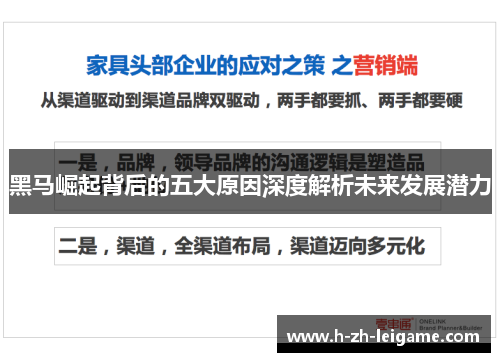 黑马崛起背后的五大原因深度解析未来发展潜力